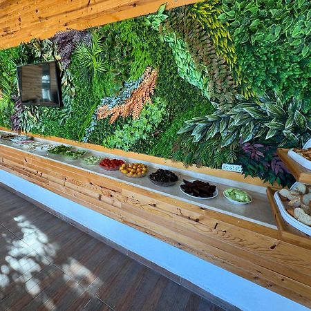Amsterdam Boutique Hotel Kemer Luaran gambar