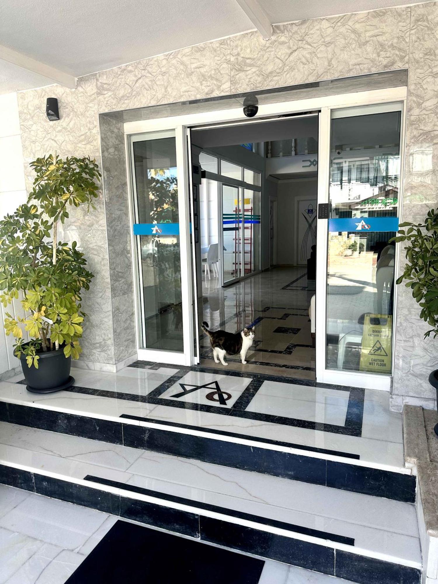 Amsterdam Boutique Hotel Kemer Luaran gambar